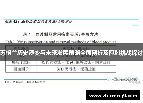 苏格兰历史演变与未来发展策略全面剖析及应对挑战探讨