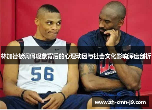 林加德被调侃现象背后的心理动因与社会文化影响深度剖析