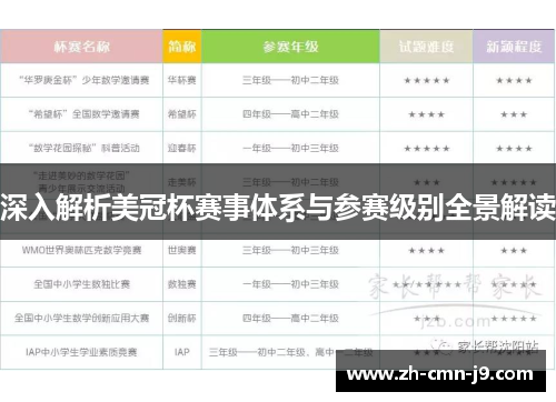 深入解析美冠杯赛事体系与参赛级别全景解读