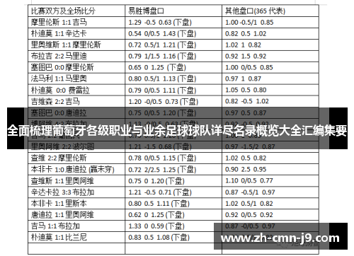 全面梳理葡萄牙各级职业与业余足球球队详尽名录概览大全汇编集要