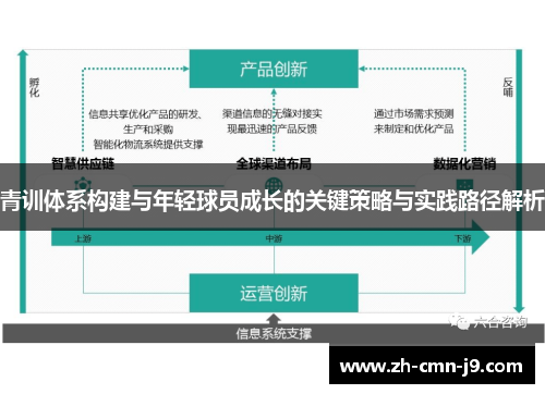 青训体系构建与年轻球员成长的关键策略与实践路径解析